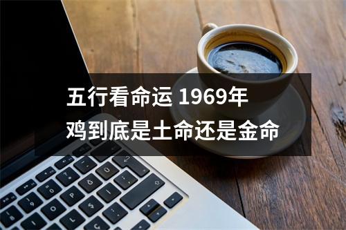 五行看命运1969年鸡到底是土命还是金命