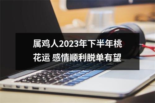 属鸡人2025年下半年桃花运感情顺利脱单有望