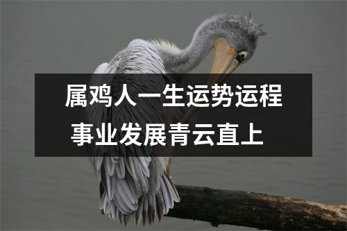 属鸡人一生运势运程事业发展青云直上