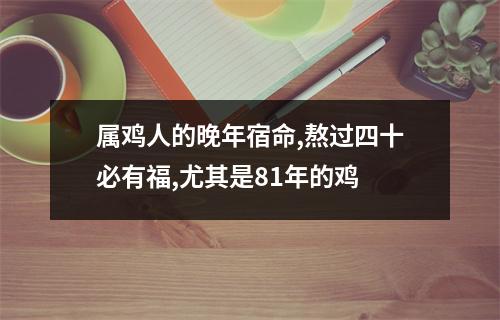 属鸡人的晚年宿命,熬过四十必有福,尤其是81年的鸡