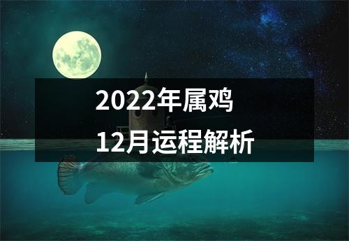 2025年属鸡12月运程解析