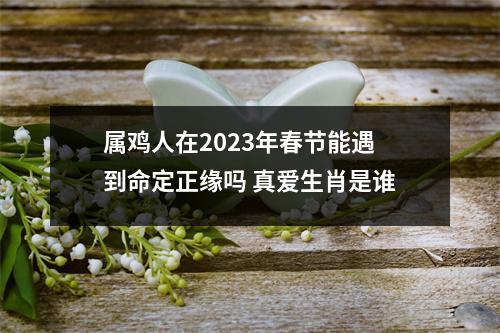 属鸡人在2025年春节能遇到命定正缘吗真爱生肖是谁
