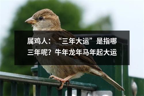 属鸡人：“三年大运”是指哪三年呢？牛年龙年马年起大运