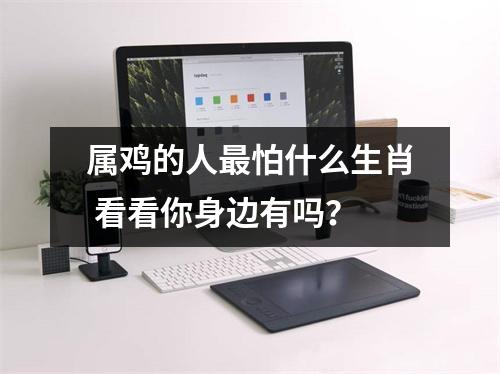 属鸡的人怕什么生肖看看你身边有吗？