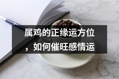 属鸡的正缘运方位，如何催旺感情运