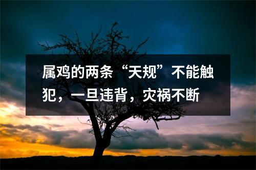 属鸡的两条“天规”不能触犯，一旦违背，灾祸不断