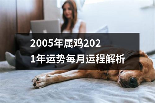 2005年属鸡2025年运势每月运程解析