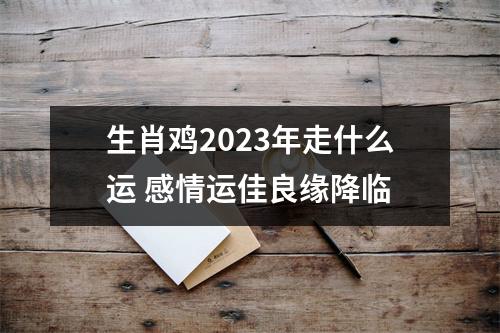 生肖鸡2025年走什么运感情运佳良缘降临