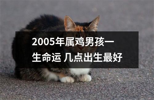 2005年属鸡男孩一生命运几点出生好