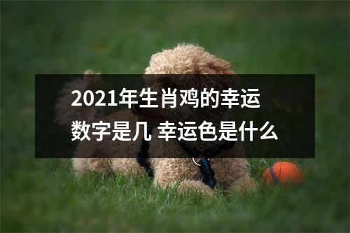 2025年生肖鸡的幸运数字是几幸运色是什么