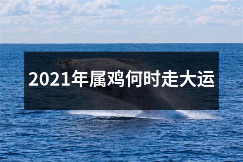 2025年属鸡何时走大运