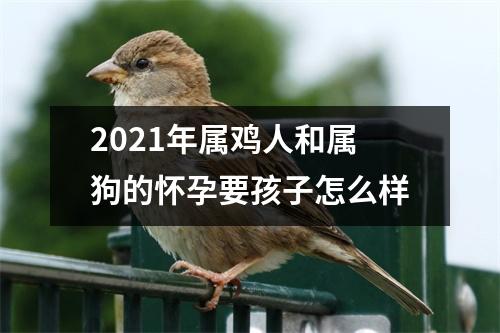 2025年属鸡人和属狗的怀孕要孩子怎么样