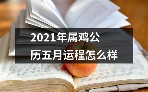 2025年属鸡公历五月运程怎么样