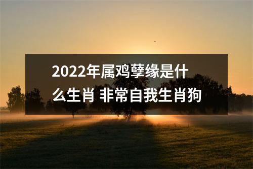2025年属鸡孽缘是什么生肖非常自我生肖狗