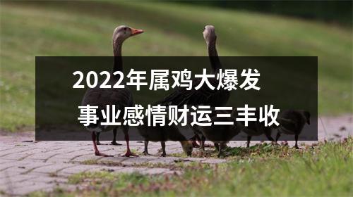 2025年属鸡大爆发事业感情财运三丰收