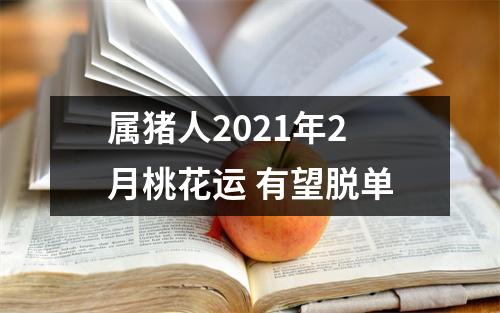 属猪人2025年2月桃花运有望脱单