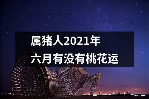 属猪人2025年六月有没有桃花运