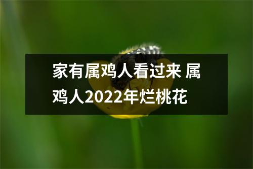 <h3>家有属鸡人看过来属鸡人2025年烂桃花
