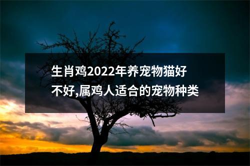 生肖鸡2025年养宠物猫好不好,属鸡人适合的宠物种类