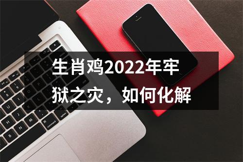 <h3>生肖鸡2025年牢狱之灾，如何化解
