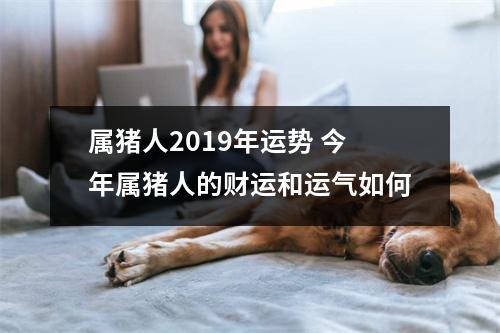 属猪人2019年运势今年属猪人的财运和运气如何