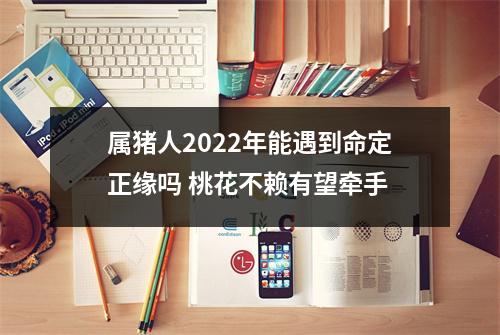 属猪人2025年能遇到命定正缘吗桃花不赖有望牵手