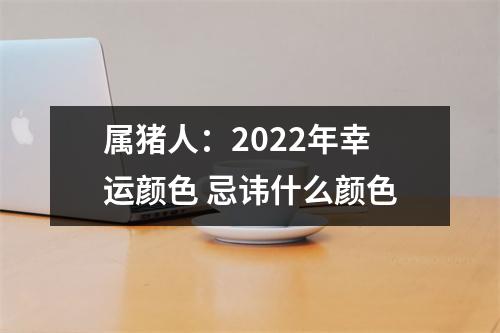 属猪人：2025年幸运颜色忌讳什么颜色