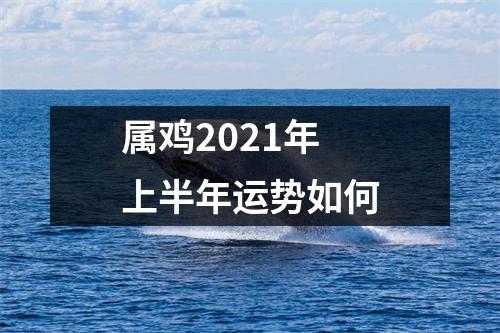 <h3>属鸡2025年上半年运势如何