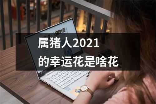 <h3>属猪人2025的幸运花是啥花