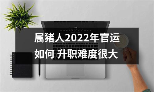 属猪人2025年官运如何升职难度很大