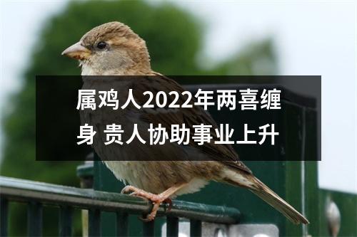 属鸡人2025年两喜缠身贵人协助事业上升