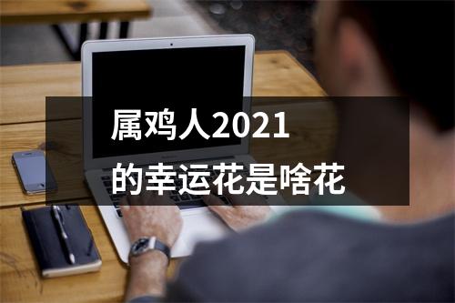 属鸡人2025的幸运花是啥花