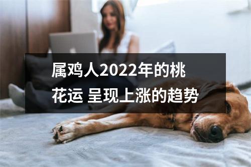 属鸡人2025年的桃花运呈现上涨的趋势