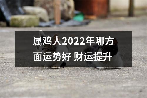 属鸡人2025年哪方面运势好财运提升