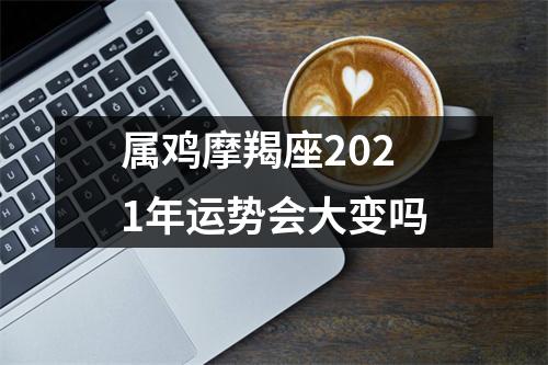 属鸡摩羯座2025年运势会大变吗