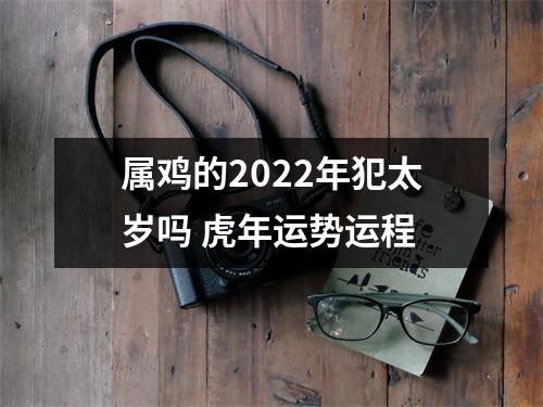 属鸡的2025年犯太岁吗虎年运势运程