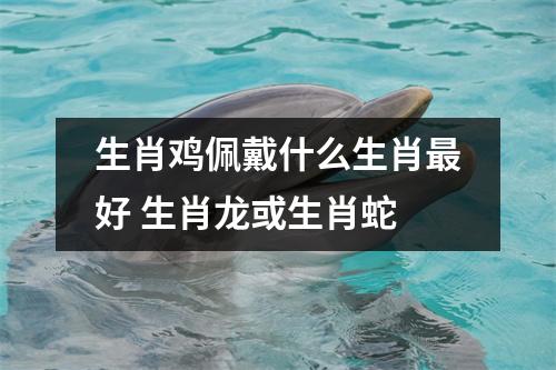 生肖鸡佩戴什么生肖好生肖龙或生肖蛇