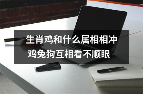 生肖鸡和什么属相相冲鸡兔狗互相看不顺眼