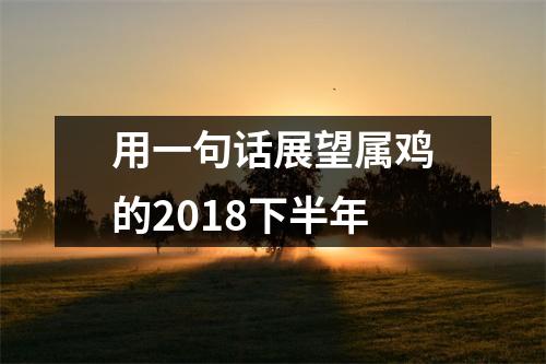 用一句话展望属鸡的2018下半年