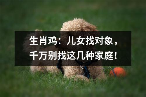 生肖鸡：儿女找对象，千万别找这几种家庭！