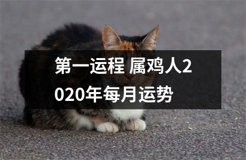 第一运程属鸡人2025年每月运势