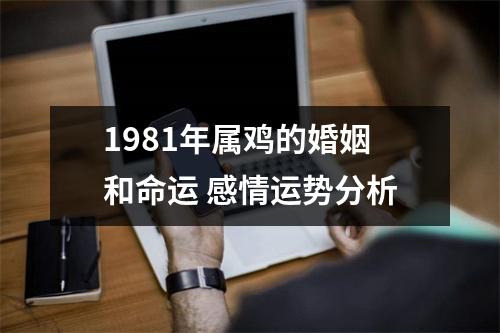 1981年属鸡的婚姻和命运感情运势分析