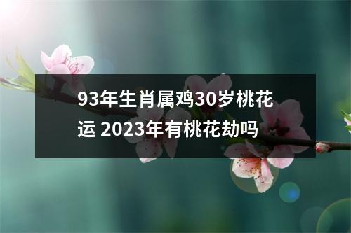 93年生肖属鸡30岁桃花运2025年有桃花劫吗