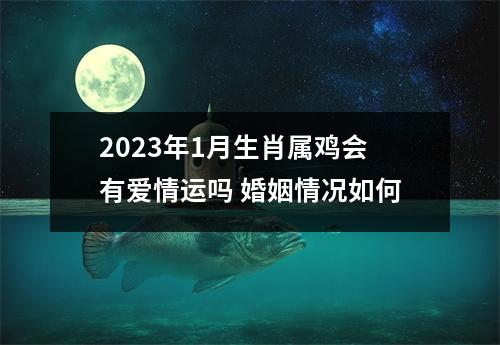 <h3>2025年1月生肖属鸡会有爱情运吗婚姻情况如何