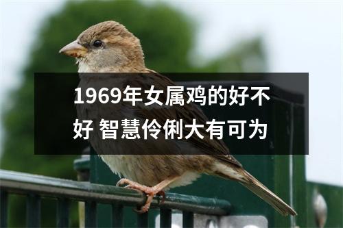 1969年女属鸡的好不好智慧伶俐大有可为
