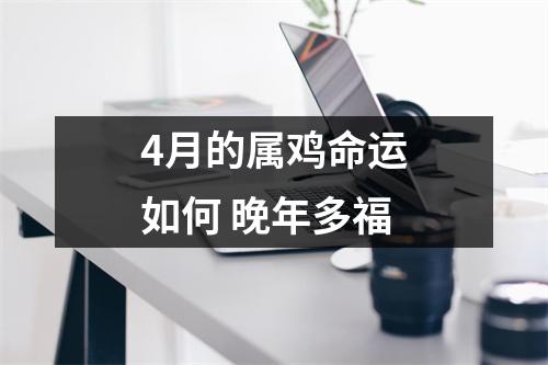 4月的属鸡命运如何晚年多福