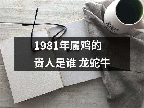 <h3>1981年属鸡的贵人是谁龙蛇牛