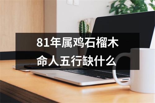 81年属鸡石榴木命人五行缺什么