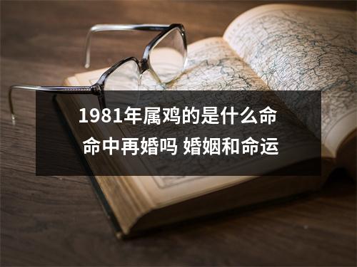 1981年属鸡的是什么命命中再婚吗婚姻和命运