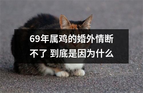 <h3>69年属鸡的婚外情断不了到底是因为什么